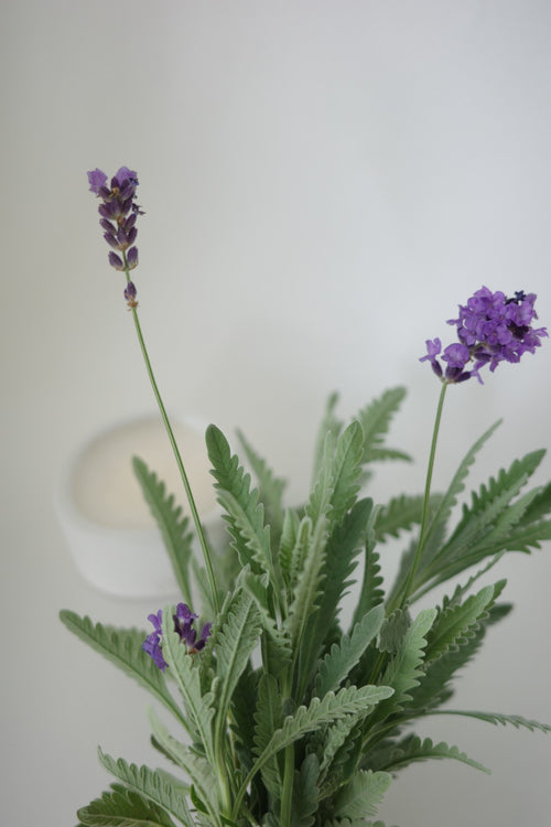 #001 寧靜薰衣草 | 沉穩草本調 | 手工水泥香氛蠟燭